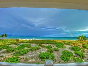 Una playa con sombrillas y palmeras, cielo despejado y un arcoíris.