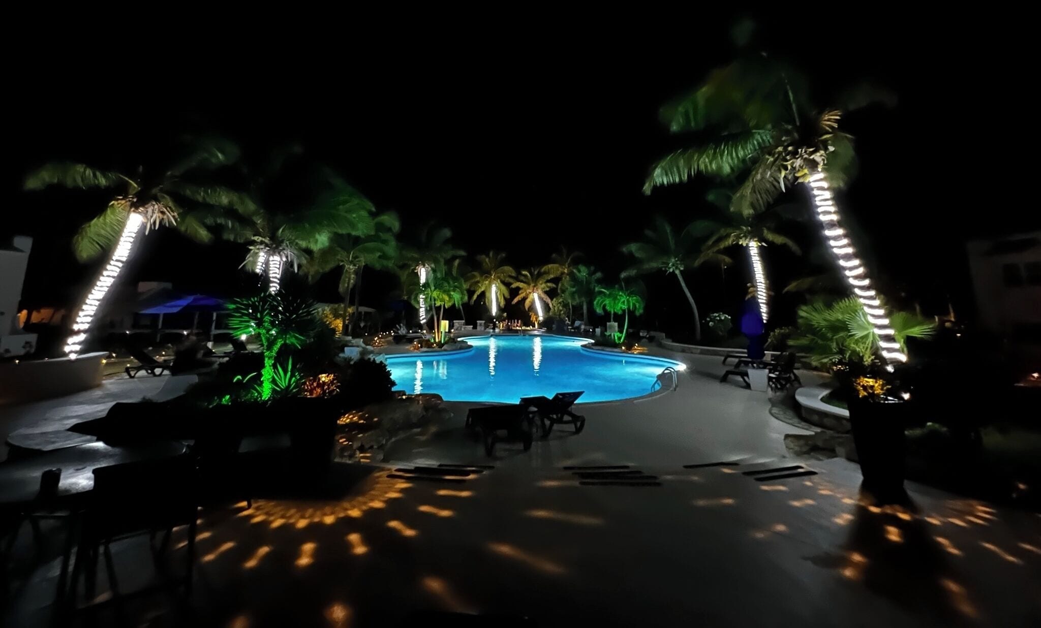 Un área de piscina nocturna con palmeras y sillones de descanso.