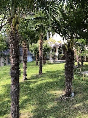 Property grounds - Romantic villas right next to Schlössle Park, 2 minutes' walk to the beach (Kressbronn)