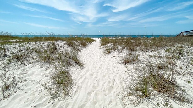 A sandy pathway leading to the beach with sparse vegetation.