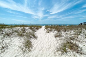 En sandstig som leder till stranden, med en gles växtlighet.