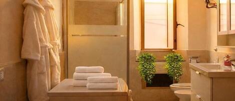 Shower, hair dryer, bidet, towels