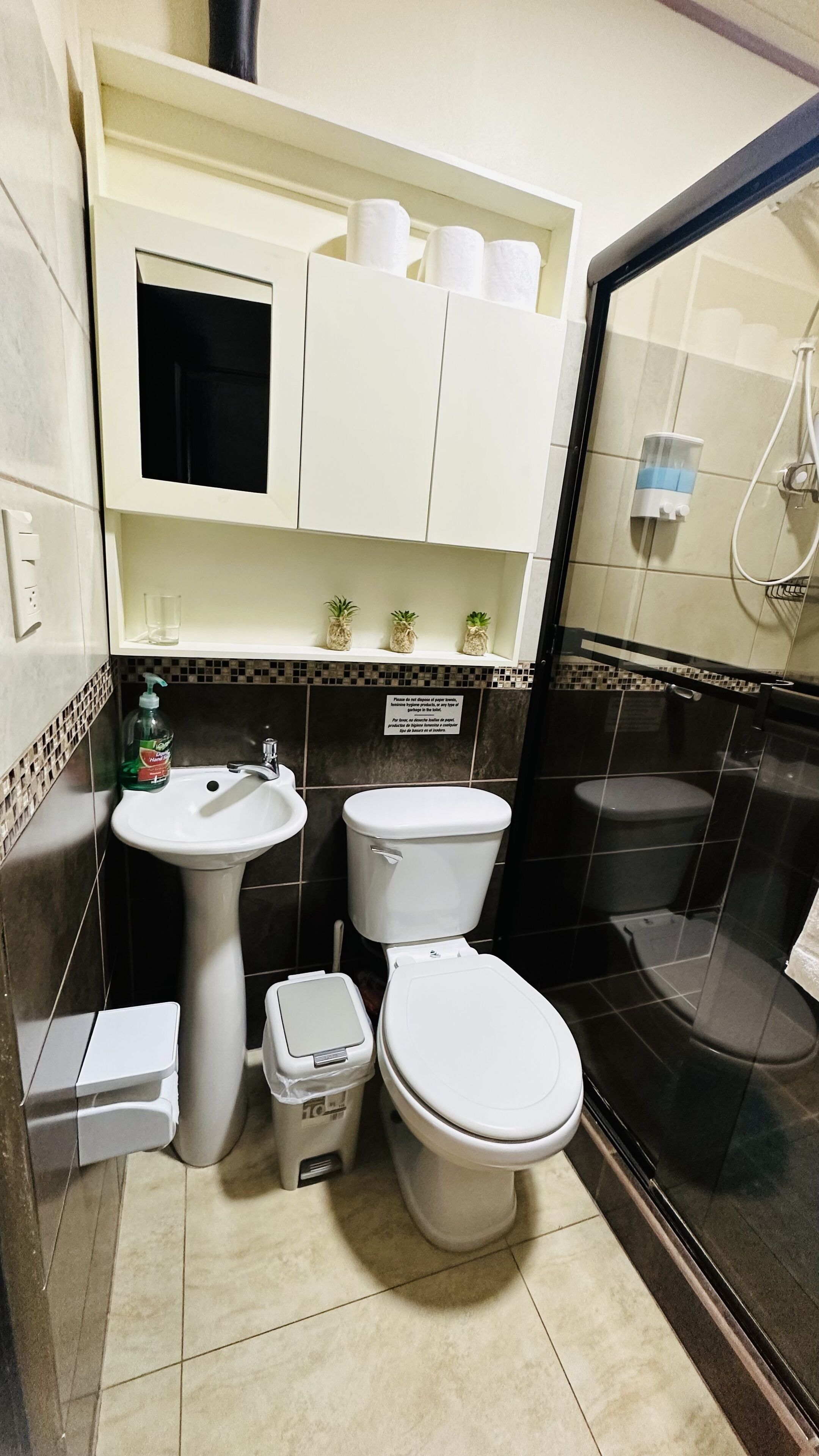 A bathroom with a sink, toilet, and shower. There is a cabinet above the sink and a small shelf with plants.