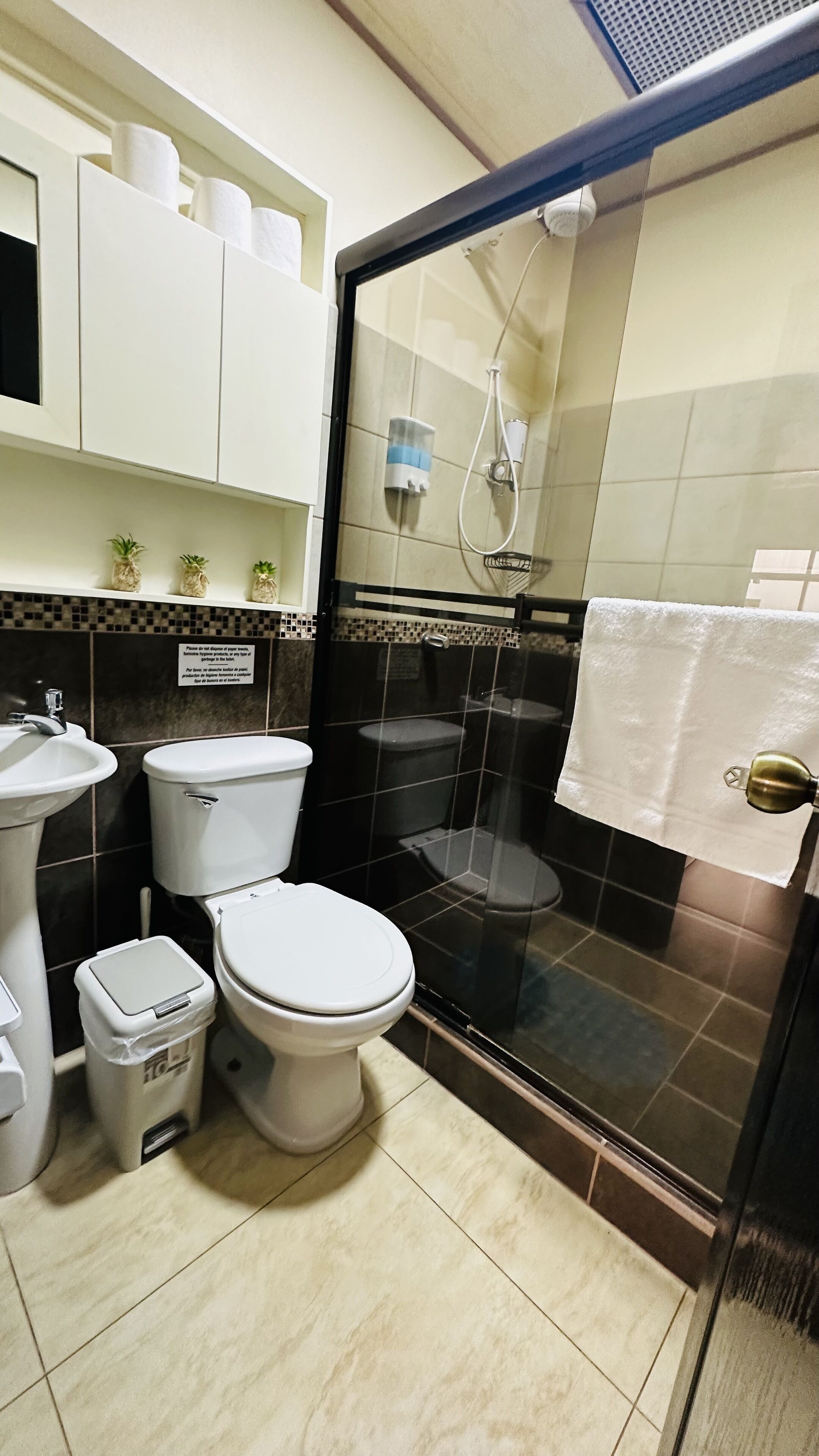 Een badkamer met toilet, wastafel en douche.