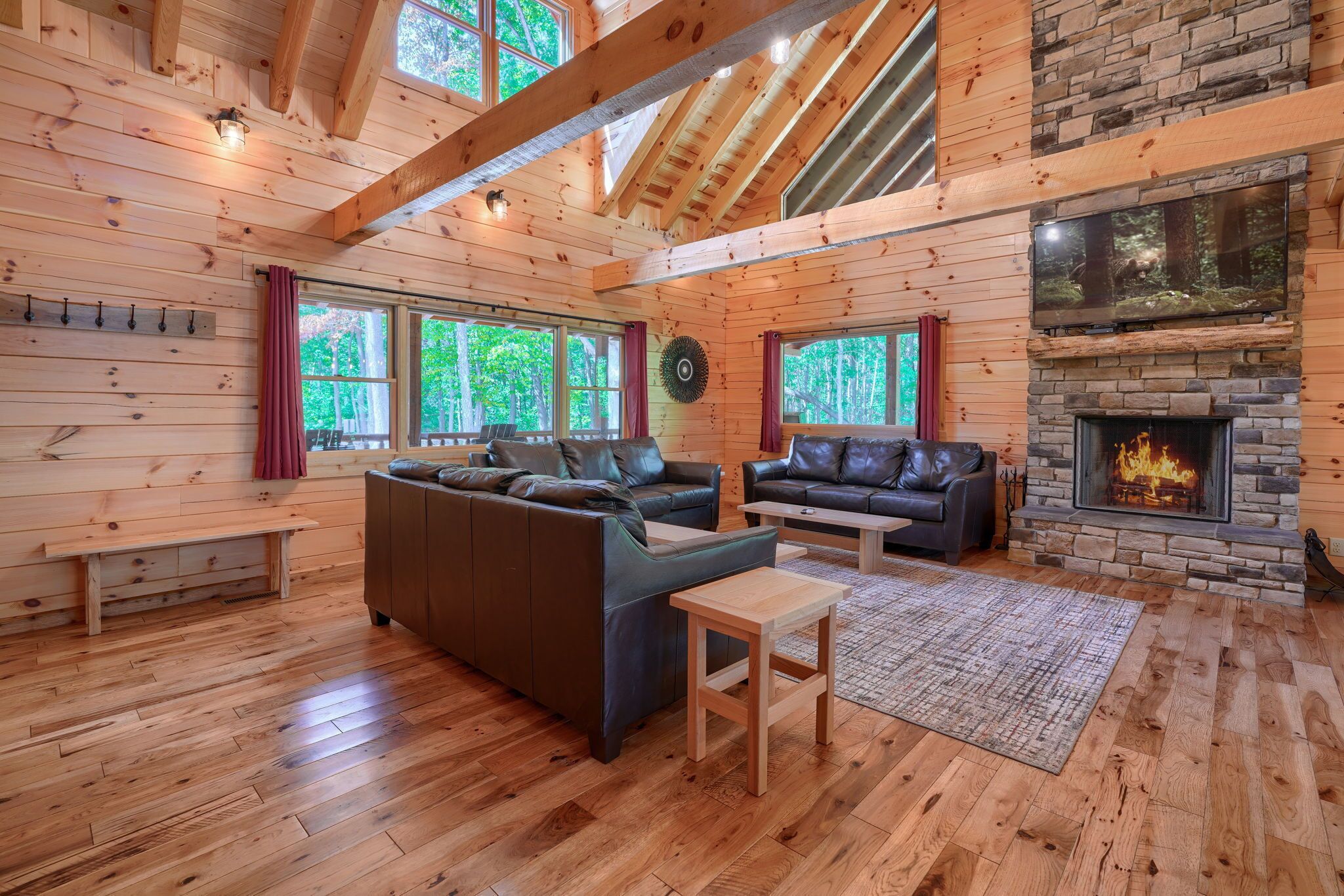 Smart TV, chimenea y reproductor de DVD 