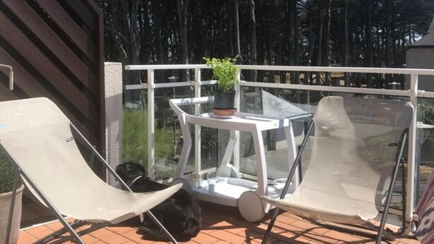 Eine Terrasse mit zwei Liegestühlen, einem kleinen Tisch und einem Blumentopf.
