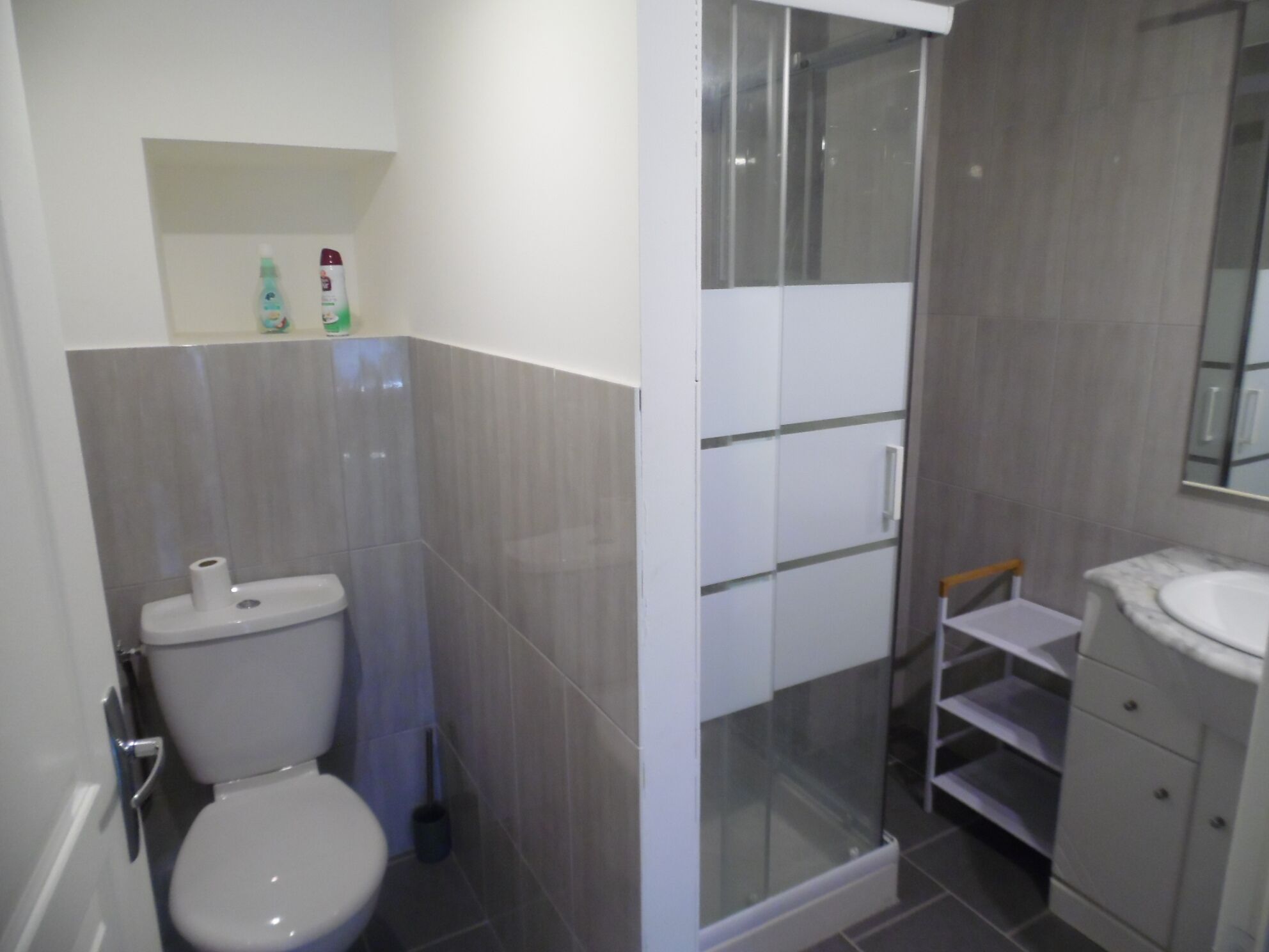 A modern bathroom with a toilet, a glass shower enclosure, and a vanity with a mirror.