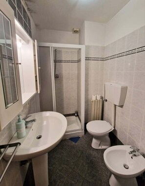 Shower, hair dryer