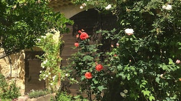 Detalhe da fachada