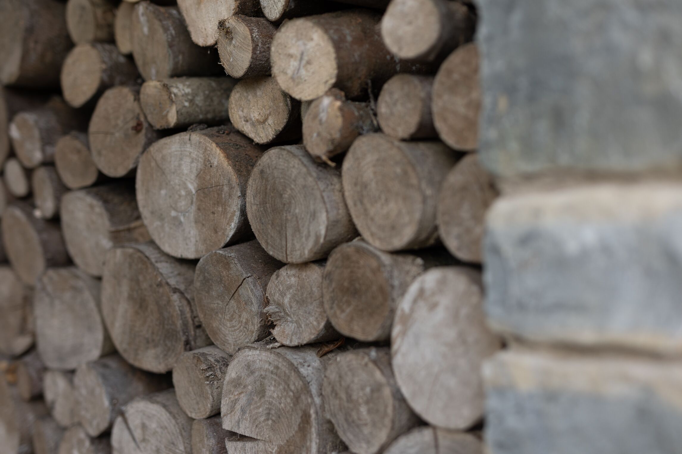 A stack of logs.