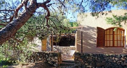 Appartement 2 Chambres pour 4 Personnes - Dammuso Ibisco