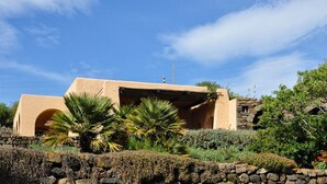 A building with a flat roof, a stone wall, and a palm tree in the foreground.