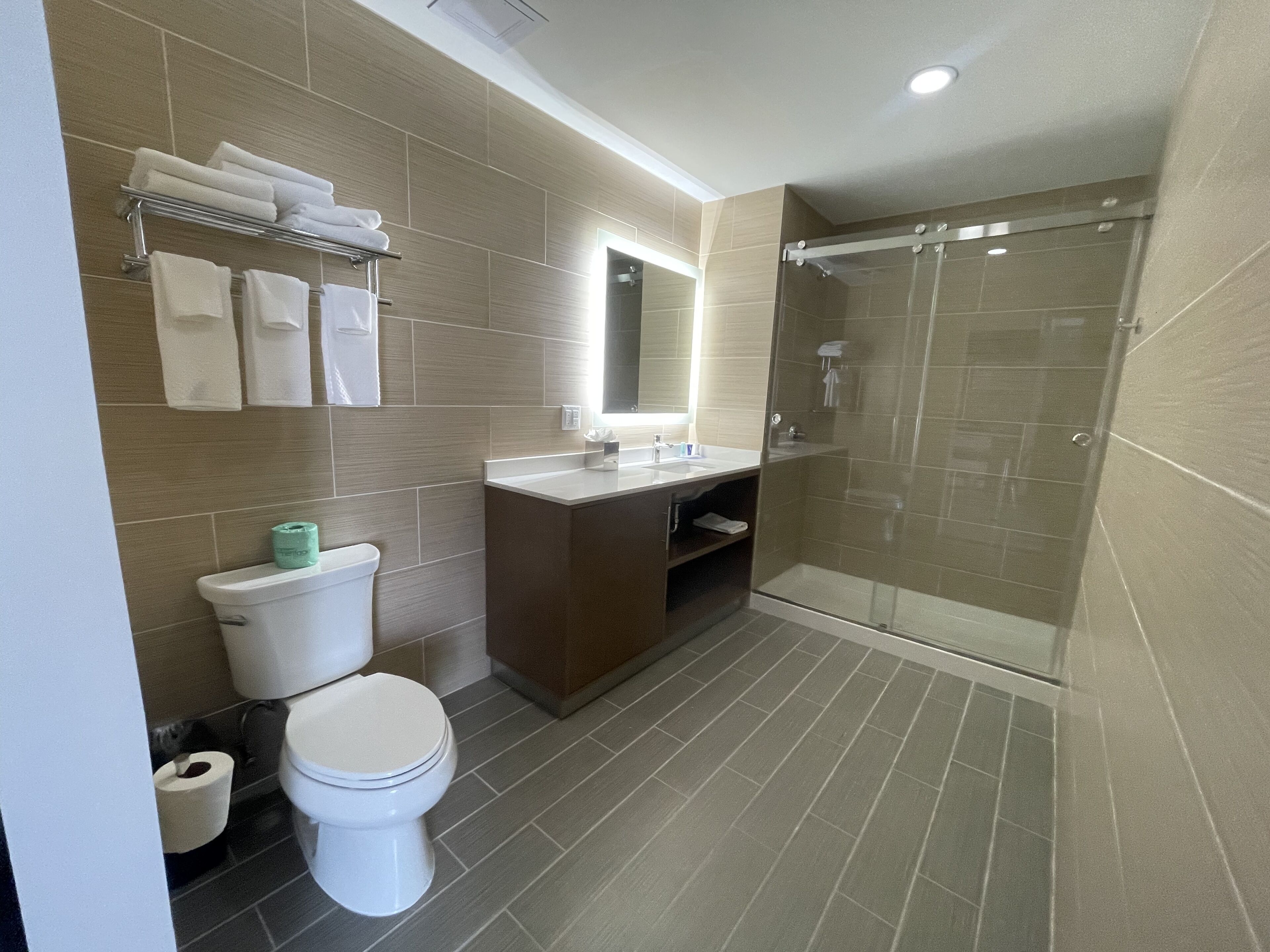 Suite, 1 King Bed, Non Smoking | Bathroom | Free toiletries, hair dryer, towels, soap