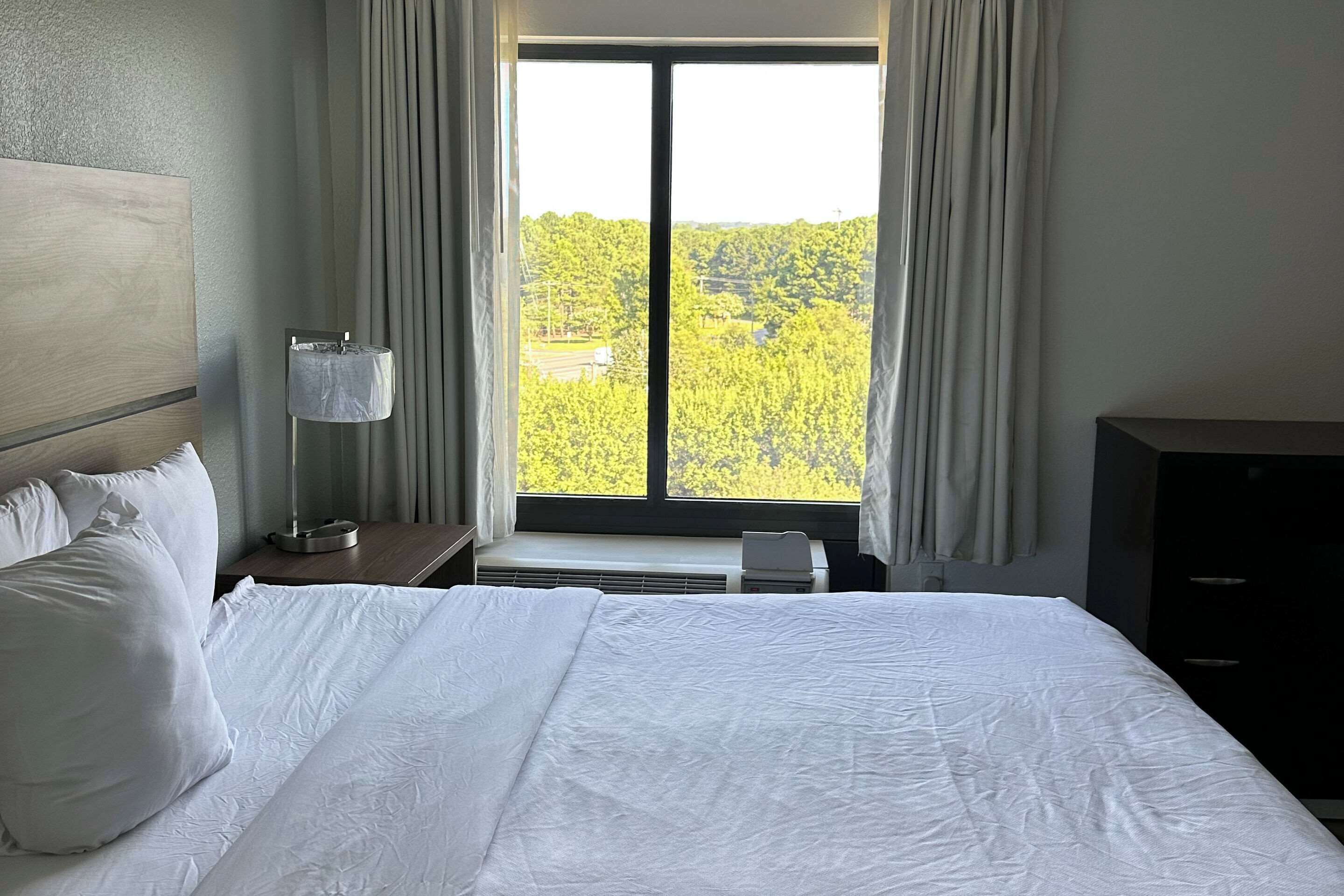 Habitación de hotel con una cama grande, una mesita de noche, una lámpara y vistas a un bosque a través de una ventana.