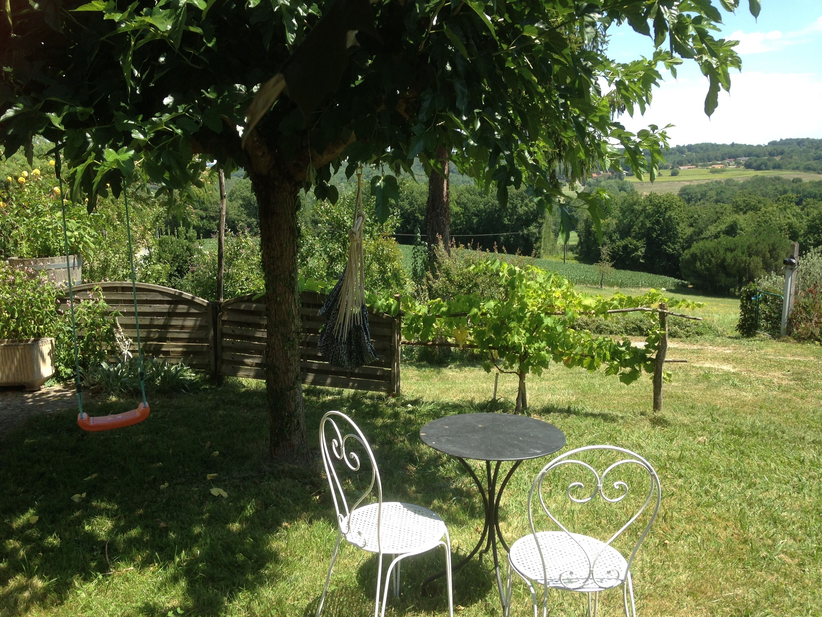 Ein Garten mit einem Baum, zwei Metallstühlen und einem kleinen Tisch.