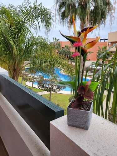 Exotic front line apartment with communal swimming pool