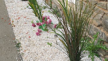 Details aan de buitenkant