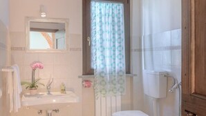 A bathroom with a white sink, toilet, and shower area. - IL GIAGGIOLO       . (Castiglione del Lago)