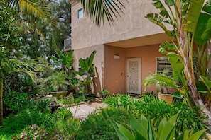 A lush garden with a variety of tropical plants and a decorative door.
