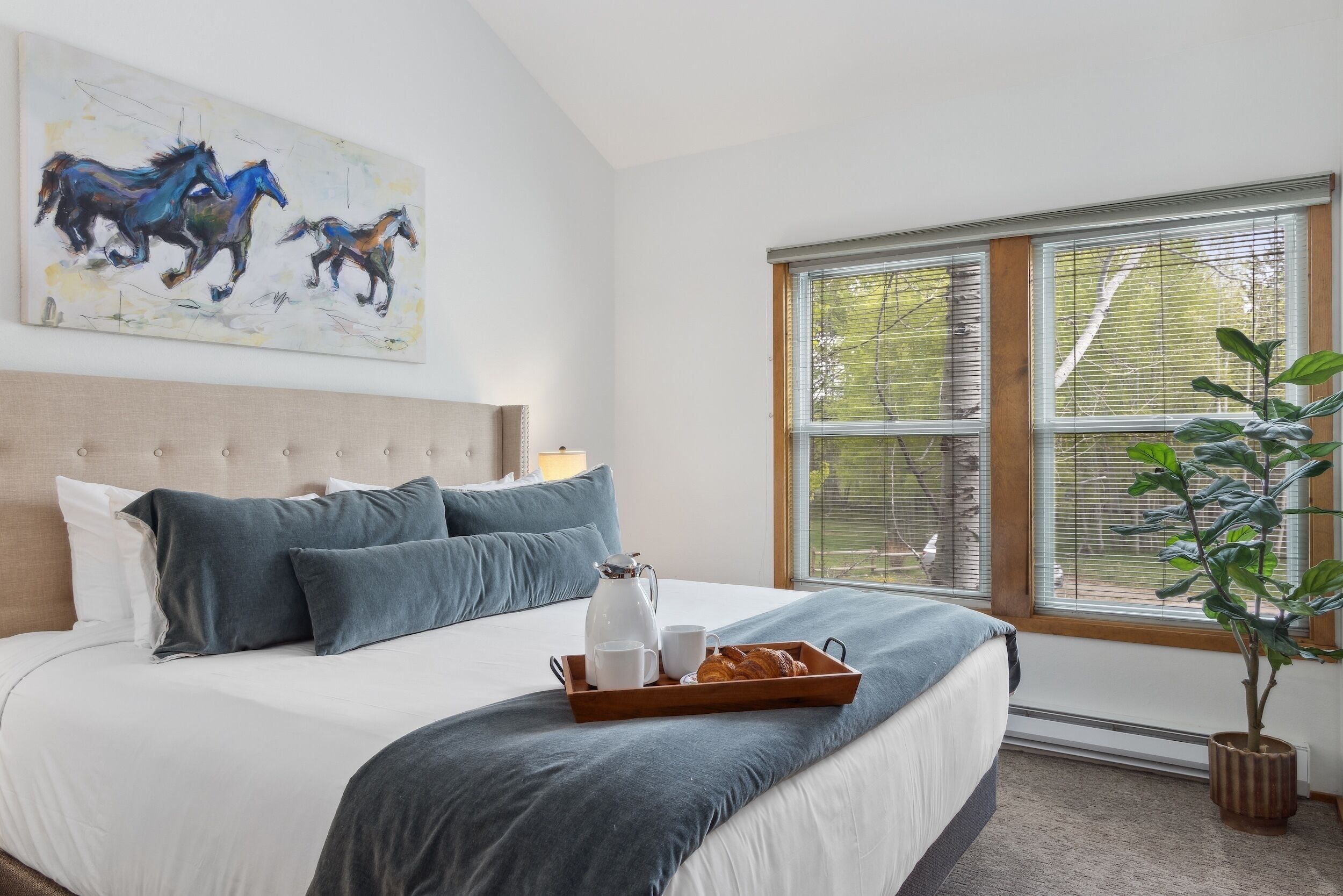 3 多间卧室、熨斗/熨衣板、WiFi、床单