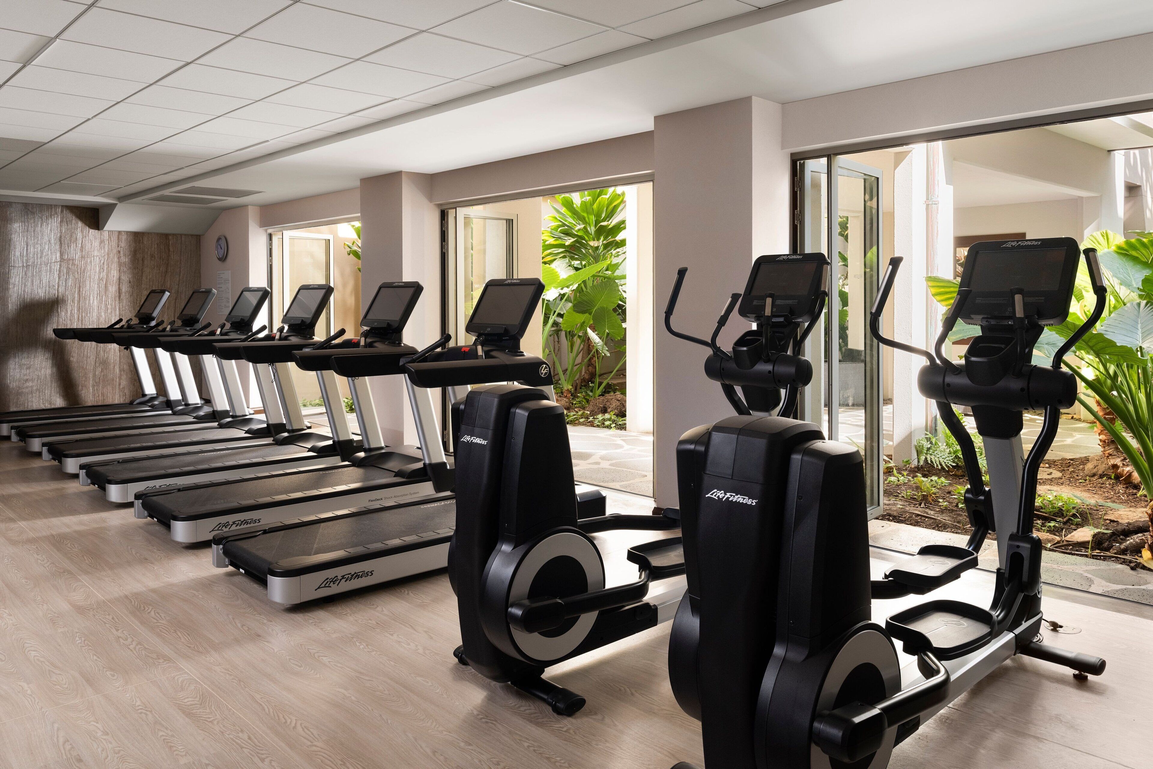 Ett gym med flera löpband och crosstrainers, stora fönster och inomhusväxter.