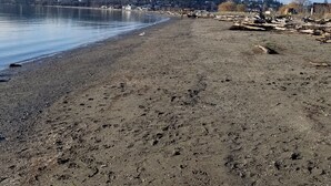 Una playa con cielo despejado, agua tranquila y restos dispersos.