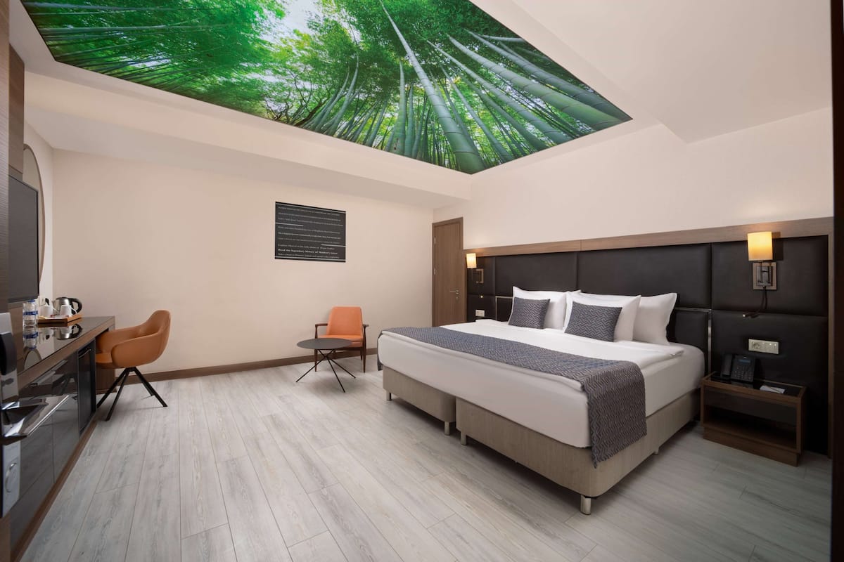 Down comforters, minibar, in-room safe, blackout drapes