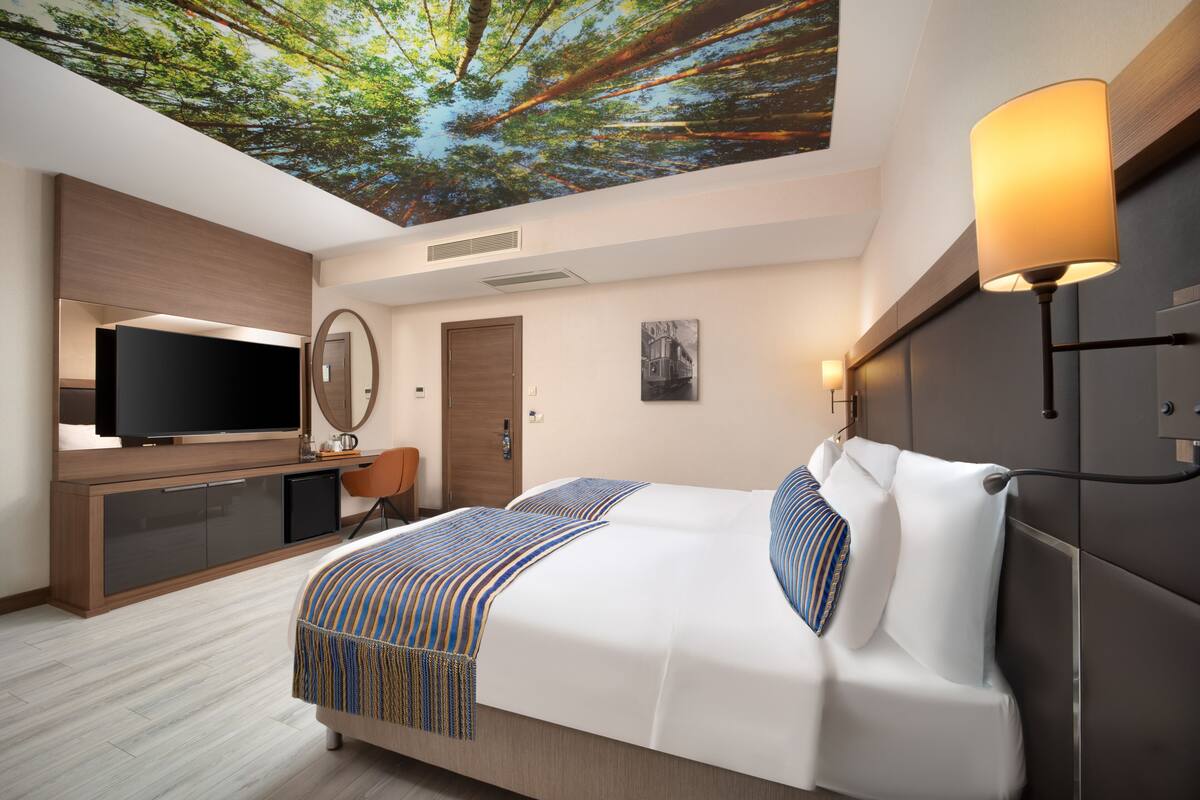 Phòng, 2 giường đơn, không hút thuốc | Chăn bông, minibar, két bảo mật tại phòng, màn/rèm cản sáng 