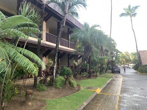 Property grounds - Fabulous 2-bedroom, 2-bath beach front apartment (Las Terrenas)