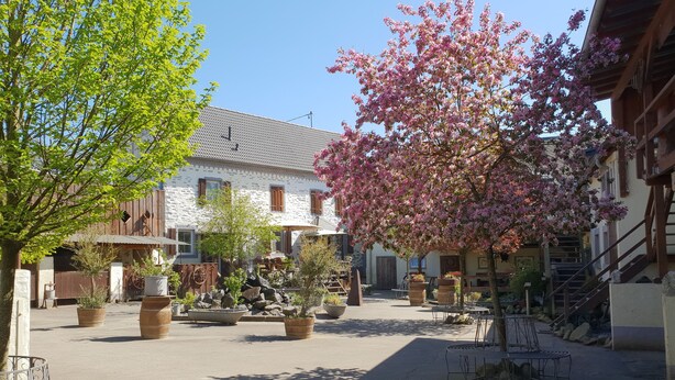A courtyard with stone benches, potted plants, and a building with a tiled roof. - Dream vacation apartment on an idyllic farm near Eltz Castle (Münstermaifeld)