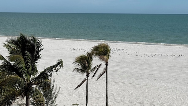 Una playa con arena blanca y palmeras.