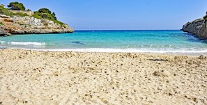 Playa en los alrededores y camastros 