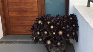 A wooden door with a glass panel, a potted plant with dark purple flowers, and a white wall with a metal bench. - Casa Descansa - vacation to feel good, enjoy and relax! (Cala Mendia)