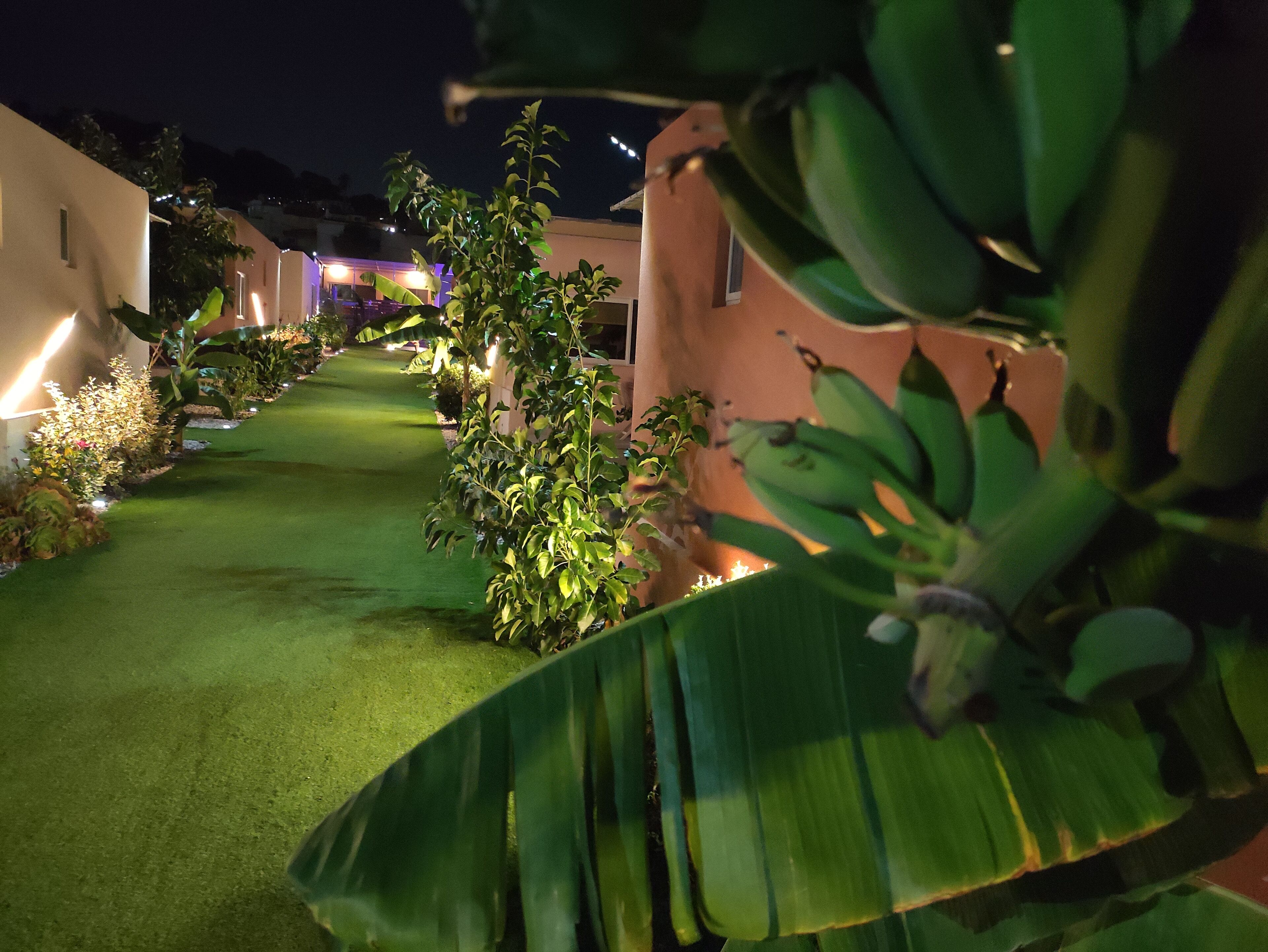 Une vue nocturne d’un chemin bien éclairé, bordé de verdure et flanqué de bâtiments illuminés.