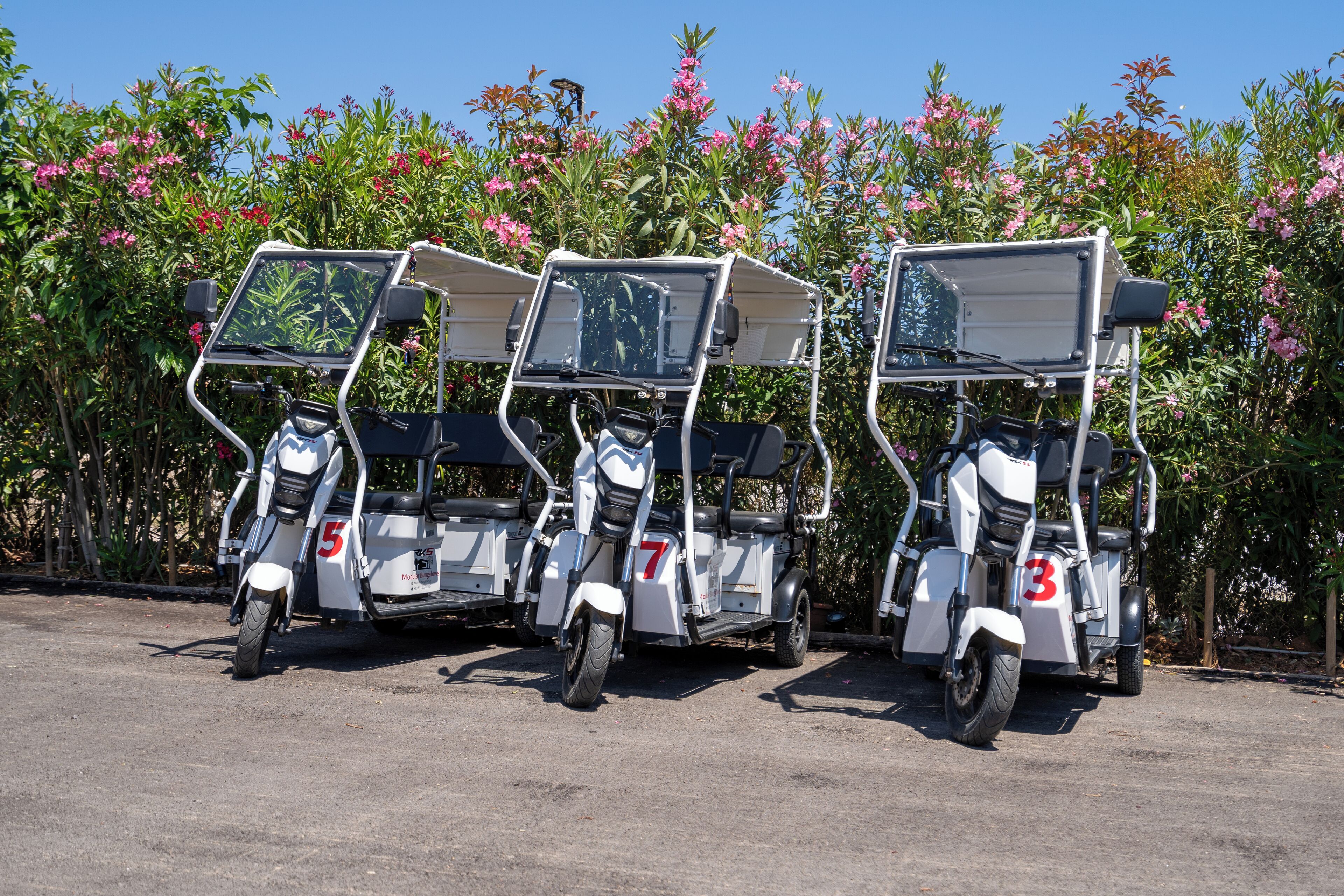 Three golf carts parked in a row with a garden and flowering plants in the background.
