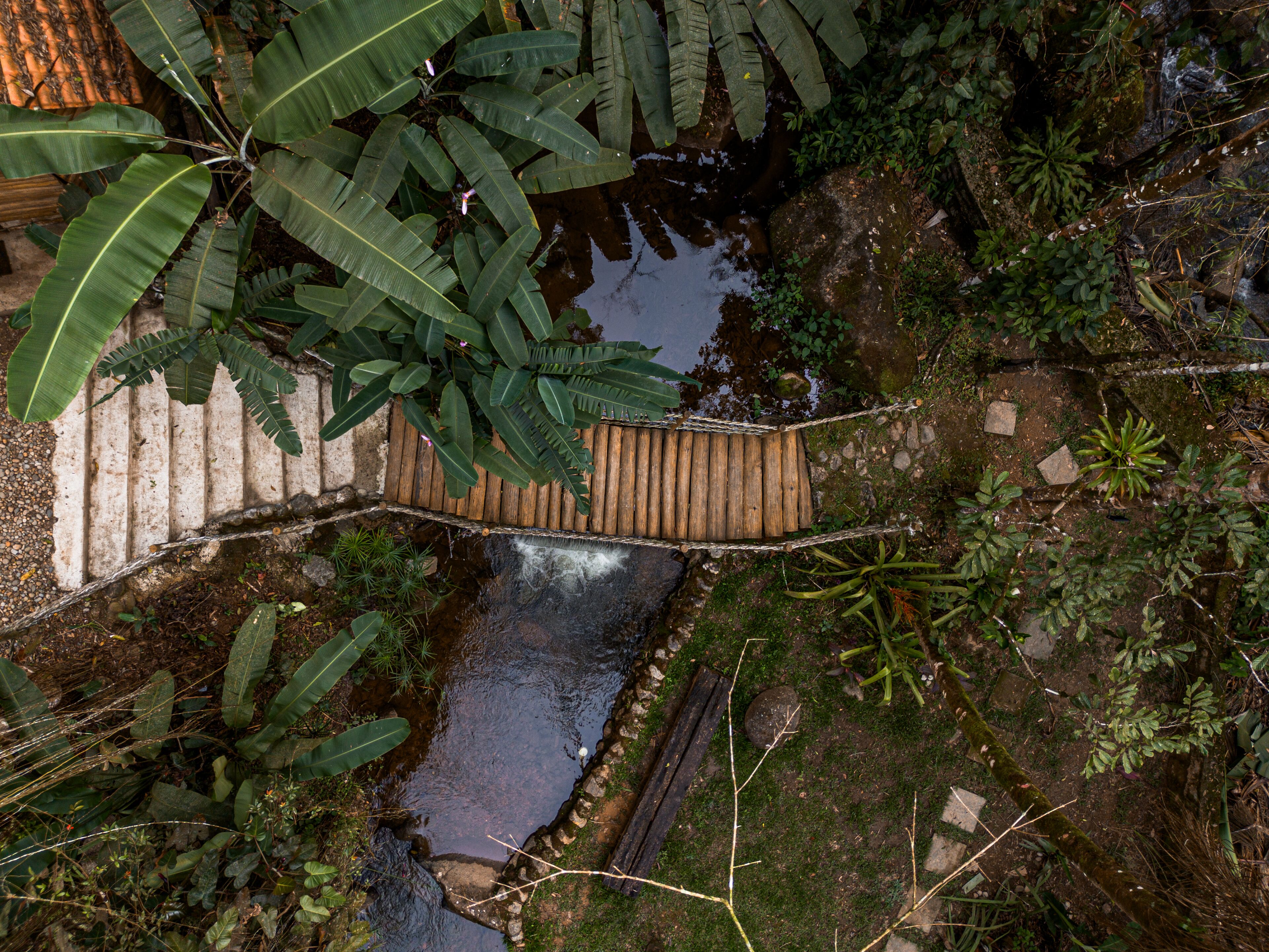 Jardim