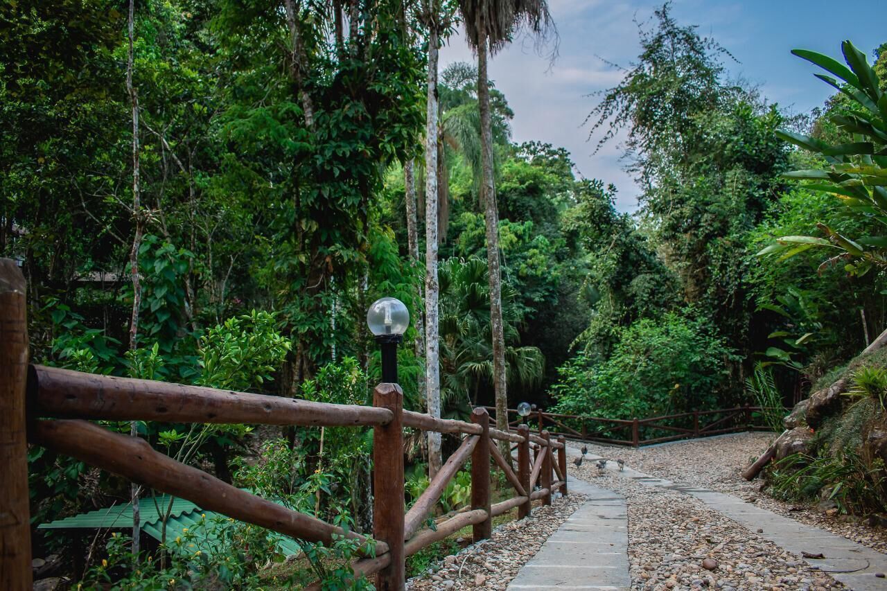 Un sendero con valla de madera y un farol, rodeado de abundante vegetación y árboles.