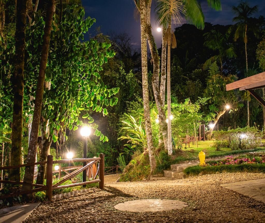 A nighttime outdoor area with a gravel path, palm trees, and a wooden fence.