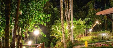 A nighttime outdoor area with a gravel path, palm trees, and a wooden fence.