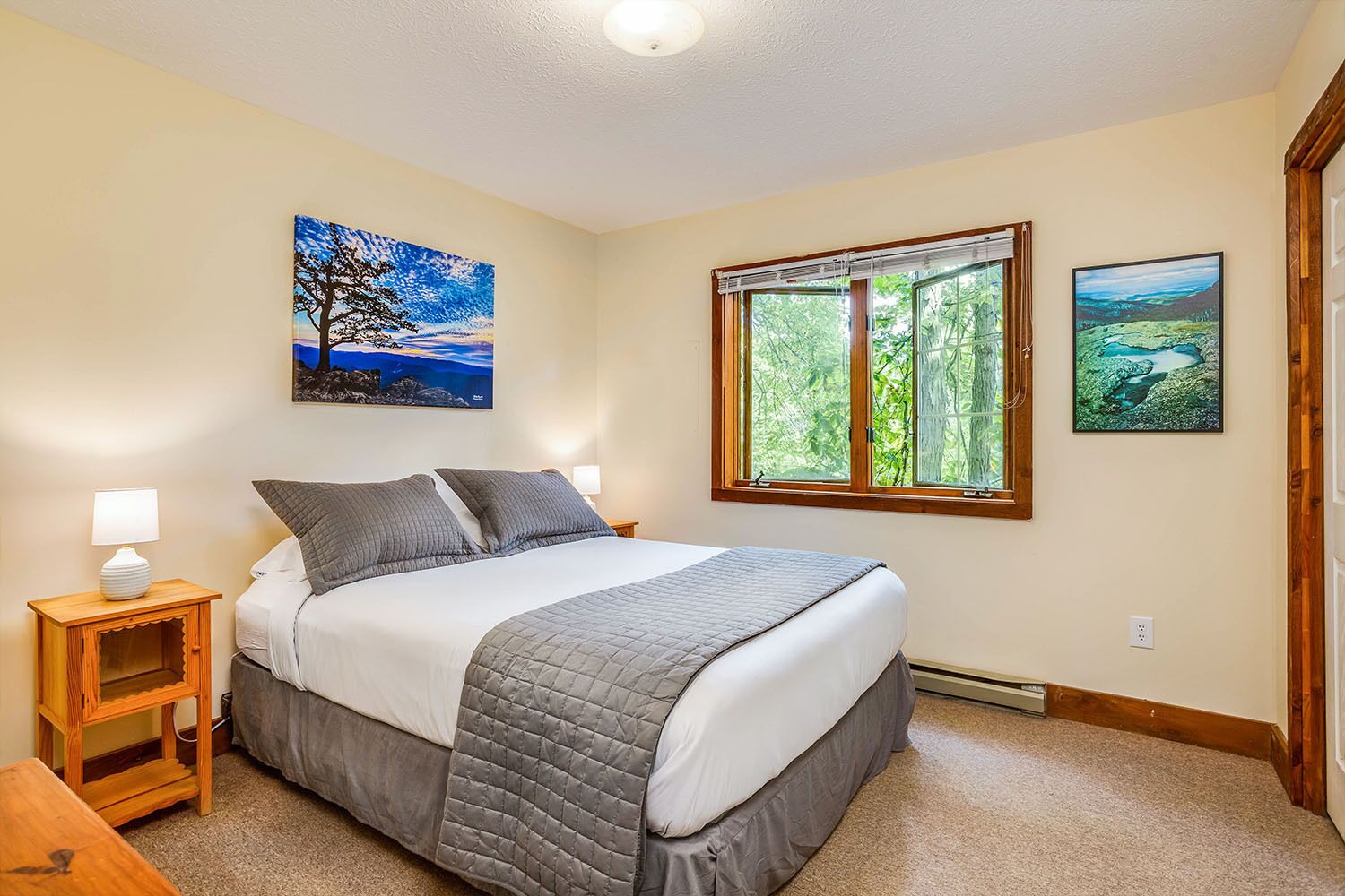 Cabaña Premium, 1 cama King size y sofá cama, hidromasaje, vista a la montaña | Ropa de cama de alta calidad, insonorización y wifi gratis 