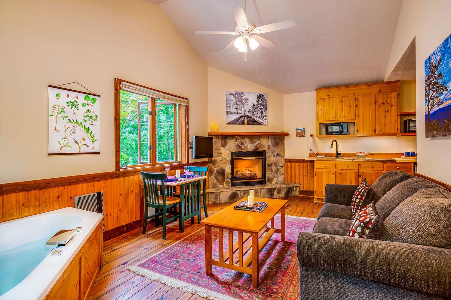 Meadow Mountain Cabin, 1 King Bed with Sofa bed, Jetted Tub | Living area | 30-inch LED TV with digital channels, TV, DVD player