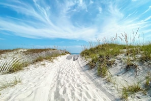 A sandy path leading to a beach with dunes and grasses.