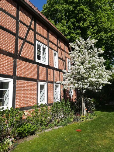 Apartment in quiet residential area, 3 min. walk to Trebbower See.