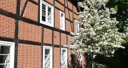 Apartment in quiet residential area, 3 min. walk to Trebbower See.