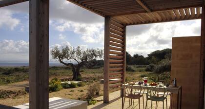 Red Cove Lodge | Wild beauty unearthed