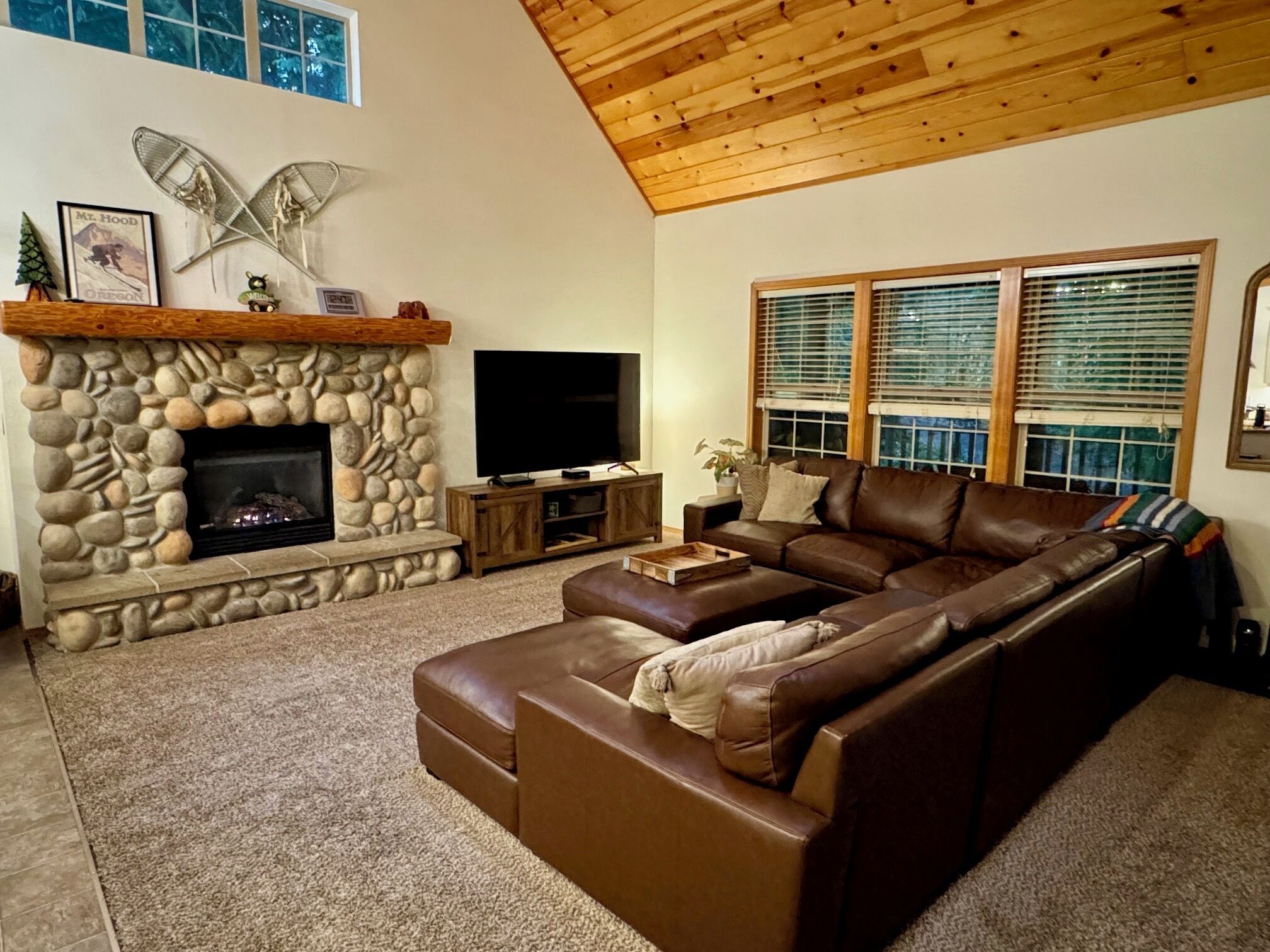 Smart TV, fireplace, DVD player, books