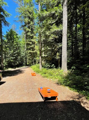 A forested area with a gravel path leading to a small orange table with a blue object on it.