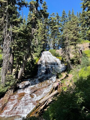 A waterfall surrounded by dense forest and rocky terrain.