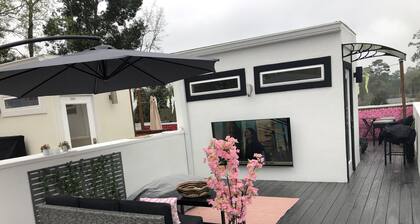 Newly constructed modern home with luxurious rooftop patio