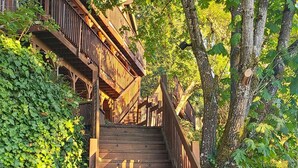A wooden staircase with a railing, surrounded by greenery and trees. - Cozy & Quiet 2 bdrm private Treehouse getaway with Amazing Views minutes from UO (Eugene)